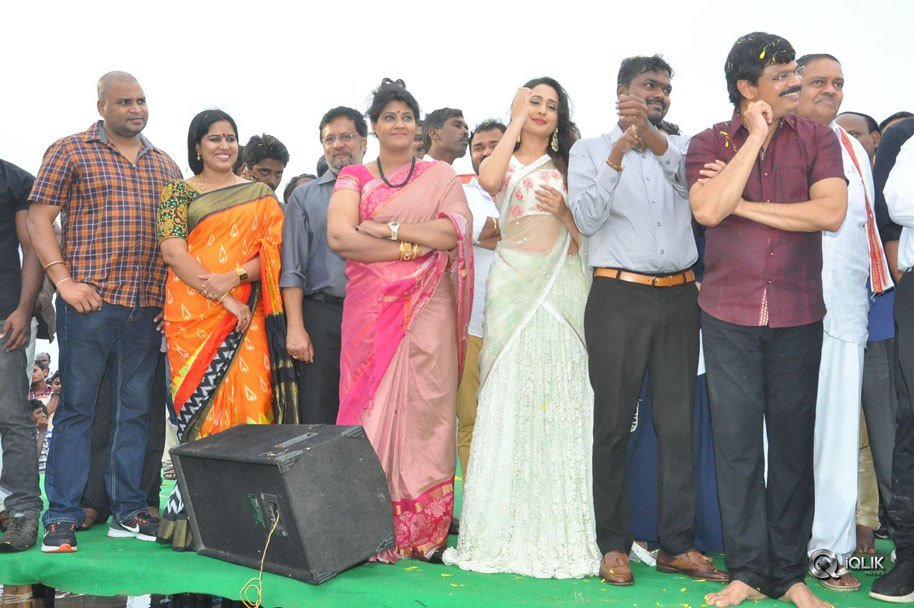 Jaya-Janaki-Nayaka-Movie-Vijayotsava-Veduka-At-Hamsala-Deevi